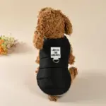 Dog Winter Jacket for Cold-Weather Wear with Colorful Design – gallery image 8