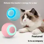 Automatic Interactive Cat Ball for Self-Play & Chasing with Obstacle Avoidance Design – gallery image 8