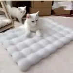 Artificial Short Plush Pet Mat for Resting & Sleeping, Washable Soft Surface – main image