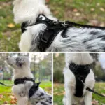 Dog Harness for Training and Walking with Reflective Trim and Top Control Handle – gallery image 16