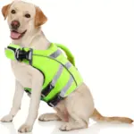 Dog Life Vest for Water Activities and Visibility with Reflective Stripes and Top Handle – gallery image 3