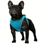 Soft Padded Dog Harness for Walking & Control with Breathable Mesh and Reflective Trim – gallery image 2