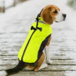 Fluorescent Green Dog Jacket for Cold Weather Wear with Zipper Closure – gallery image 2