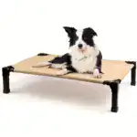 Cooling Elevated Dog Bed for Pet Resting with Breathable Mesh Surface and Metal Frame – gallery image 17