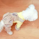 Small Dog Jumpsuit for Pet Wear & Coverage with Knit Polyester and Snap Button Closure – gallery image 11