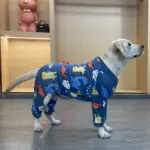 Thickened Fleece Pet Pajamas for Warm Indoor Wear with Placket Closure – gallery image 6