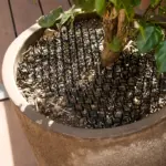 12pcs Cat Deterrent Mats for Surface Deterrence with Spiked Texture and Polypropylene Construction – gallery image 5