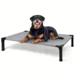 Cooling Elevated Dog Bed for Pet Resting with Breathable Mesh Surface and Metal Frame – gallery image 5