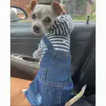 Pet Jumpsuit Outfit for Spring and Summer Wear, Striped Denim-Style Design – gallery image 5