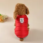 Dog Winter Jacket for Cold-Weather Wear with Colorful Design – gallery image 12