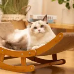Sisal Rocking Chair Cat Scratcher for Scratching & Lounging with Wooden Frame and Hammock-Style Bed – gallery image 3