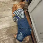 Pet Jumpsuit Outfit for Spring and Summer Wear, Striped Denim-Style Design – gallery image 10