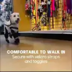 Dog Paw Boot Leggings for Outdoor Walking in Wet Weather with Anti-Slip Sole – gallery image 11