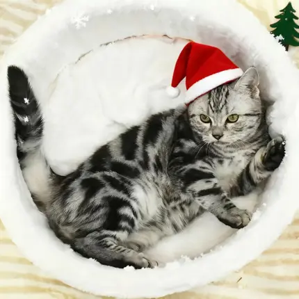 81629f69-c901-4baf-8871-371adcf8ef96