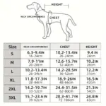 Dog Cooling Suit for Warm-Weather Wear and Breathable Lightweight Fabric – gallery image 5