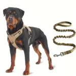 No-Pull Dog Harness with Handle and Bungee Leash for Walking & Control, Adjustable Fit – gallery image 3