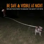 Reflective Long Dog Leash for Training and Walking, Multi-Size Fit – gallery image 9