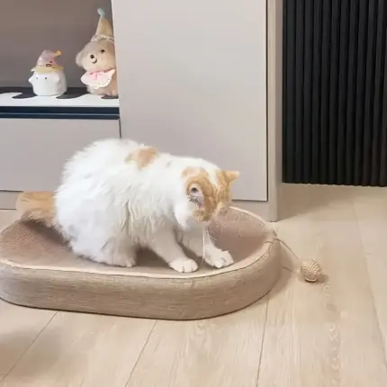 874cb31d-cf8f-4b8f-b71a-1222bd331d44