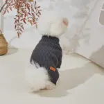 Pet Turtleneck Sweater for Warmth & Everyday Wear, Thick Knit Pullover – gallery image 7