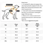 Pet Raincoat for Outdoor Wear in Wet Weather with Four-Leg Coverage and Contrast Color Panels – gallery image 4