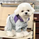 Pet Raincoat for Outdoor Wear in Wet Weather with Four-Leg Coverage and Contrast Color Panels – main image