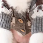 Bear Print Knitted Cardigan for Pets for Warmth in Cooler Weather – gallery image 11