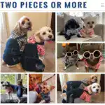 Pet Jumpsuit Outfit for Spring and Summer Wear, Striped Denim-Style Design – gallery image 12