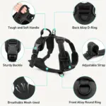 Dog Harness for Training and Walking with Reflective Trim and Top Control Handle – gallery image 6