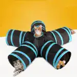 Collapsible Pet Tunnel for Cat Play & Activity with 5-Way Design – gallery image 5