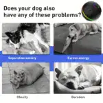 Interactive Rolling Dog Ball Toy for Random Movement & Light Effects – gallery image 16