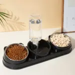 Stainless Steel Pet Bowl for Feeding with Slanted Design – gallery image 12
