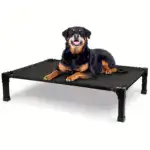 Cooling Elevated Dog Bed for Pet Resting with Breathable Mesh Surface and Metal Frame – gallery image 22