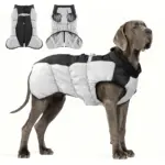Dog Winter Jacket for Cold Weather Wear with Windproof Design & Reflective Detail – gallery image 5