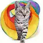 S-Shaped Collapsible Cat Tunnel for Play & Exploration with Connectable Foldable Design – main image