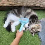 Automatic Pet Grooming Brush for Removing Loose Hair & Light Detangling, USB Rechargeable – gallery image 3