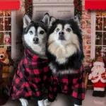 Checkered Pet Hoodie Sweater for Warm Wear, Pocket Design – gallery image 6