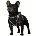 Soft Padded Dog Harness for Walking & Control with Breathable Mesh and Reflective Trim – gallery image 16