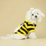 Bee Costume Hoodie for Small Dogs for Warm Wear in Cool Weather with Pullover Design – gallery image 9