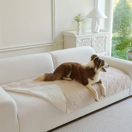 b94e6b9d-de3b-4d52-a888-40c4750abba4