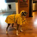 Reflective Hooded Dog Raincoat for Wet-Weather Walks & Outdoor Use – gallery image 3