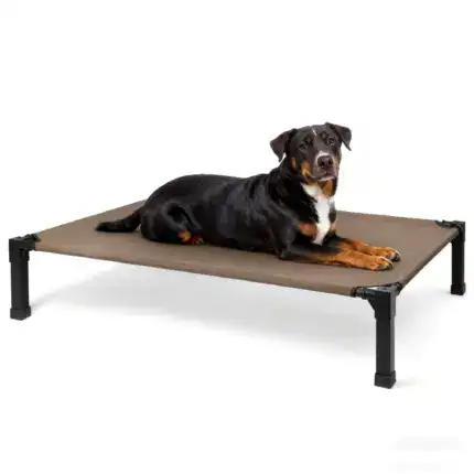 babdd400-06cc-448b-91d9-232d98cdb22f