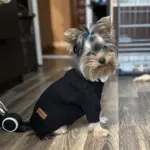 Pet Turtleneck Sweater for Warmth & Everyday Wear, Thick Knit Pullover – gallery image 8