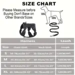 No-Pull Dog Harness with Handle and Bungee Leash for Walking & Control, Adjustable Fit – gallery image 4