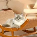 Sisal Rocking Chair Cat Scratcher for Scratching & Lounging with Wooden Frame and Hammock-Style Bed – gallery image 10