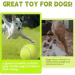 Inflatable Large Tennis-Style Ball for Interactive Pet Play & Training – gallery image 9