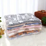 Thickened Double-Layer Pet Bed Cushion for Resting & Lounging, Cartoon Bear Pattern – main image
