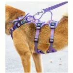Dog Travel Harness for Walking & Restraint with Adjustable Length and Snug Fit – gallery image 2