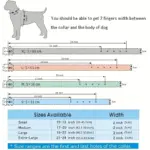 Studded PU Leather Dog Collar With Leash for Walking & Training – gallery image 4