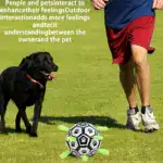 Chew-Resistant Bouncy Dog Toy for Fetch & Interactive Play – gallery image 8