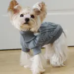 Dog Hooded Sweater for Warmth & Everyday Wear, Knit Pullover with Twisted Flower Detail – gallery image 2